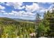 Expansive mountain view through tall trees, showcasing a stunning natural landscape at 6882 Snowshoe Trl, Evergreen, CO 80439