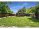 Green backyard with grass, a brick house, a wood fence, a shed, and a small tree at 1111 Kearney St, Denver, CO 80220