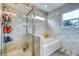 Modern bathroom with a glass-enclosed shower, soaking tub, and stylish tile work at 22160 Wintergreen Way, Parker, CO 80138