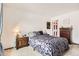 Bedroom with a large window, and neutral carpet at 6366 Nassau Ct, Highlands Ranch, CO 80130