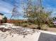 Spacious backyard featuring a concrete patio, picnic table, garden area, and mature trees with blooming flowers at 6640 Grove St, Denver, CO 80221