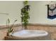Relaxing bathroom featuring a jetted tub with decorative tiling and natural light, creating a spa-like atmosphere at 6640 Grove St, Denver, CO 80221