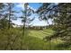 Scenic golf course view framed by lush greenery and trees, providing a tranquil backdrop at 120 Silver Leaf Way, Castle Rock, CO 80108