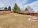 A large, fenced backyard with a storage shed, garden beds, and young trees scattered throughout the grassy space at 6523 S Field Way, Littleton, CO 80123