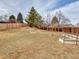 Large fenced backyard with garden and newly planted trees at 6523 S Field Way, Littleton, CO 80123