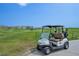 Golf cart on a lush green course, with a player in the distance and clear blue skies above at 15987 E 115Th Pl, Commerce City, CO 80022