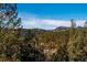 Scenic mountain view with lush trees against a bright blue sky at 4520 Forest Hill Rd, Evergreen, CO 80439