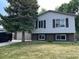 Traditional two-story home with a well-manicured front yard and a mature shade tree at 11318 Clermont Dr, Thornton, CO 80233