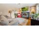 Living room featuring a fireplace, couch, and decorative plants at 1586 S Field Ct, Lakewood, CO 80232