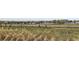 Expansive field view with white fencing, trees, and houses in the background at 15788 Valentia St, Thornton, CO 80602