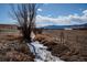 Scenic landscape view with a small stream, bare trees, and mountain backdrop at 8602 N 39Th St, Longmont, CO 80503