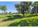 A lush green golf course with mature trees casting shadows on a sunny day, showcasing the community's beautiful landscaping at 6115 W Mansfield Ave # 242, Denver, CO 80235