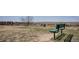 Scenic overlook of the rolling hills with a green bench in the foreground and trees framing the view at 7965 Lakeshore Dr, Parker, CO 80134