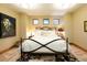 Calm bedroom featuring neutral walls and carpet with a black iron bed frame at 3120 Bears Den Dr, Sedalia, CO 80135