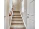 Carpeted stairway with a wooden handrail leads to the upper level, brightened by a window and white trim at 3810 Cadence Dr, Castle Rock, CO 80109