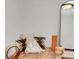 Cozy room featuring pillows, yoga props, wood floor, and a modern black frame mirror at 35427 Welch Trl, Elizabeth, CO 80107