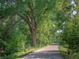 Scenic walking path shaded by large trees at 1567 S Dallas Cir, Denver, CO 80247