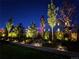 Landscaped backyard with a variety of illuminated trees and bushes at night at 1135 Basalt Ridge Loop, Castle Rock, CO 80108