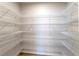 Walk-in pantry with multiple levels of wire shelving for optimal storage and organization at 1135 Basalt Ridge Loop, Castle Rock, CO 80108