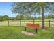 Park bench situated in a grassy field under a tree with a picnic shelter in the background at 8795 W Cornell Ave # 1, Lakewood, CO 80227