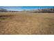 Expansive grassy area in a well-maintained community park, perfect for outdoor activities at 8166 E Phillips Ave, Centennial, CO 80112