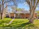 Beautiful backyard with lush green grass, patio, and mature trees providing ample shade at 6314 Brooks Dr, Arvada, CO 80004