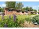 Charming brick home with blooming lupine flowers, lush green lawn and inviting curb appeal at 6314 Brooks Dr, Arvada, CO 80004