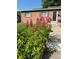 Charming front yard with blooming lupine flowers and a well-maintained lawn at 6314 Brooks Dr, Arvada, CO 80004