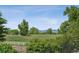 Picturesque view of open fields, mature trees, and distant mountains from the property at 13962 W 76Th Ln, Arvada, CO 80005