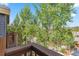 Balcony view of mature trees and street at 434 Kings Crown Rd, Breckenridge, CO 80424