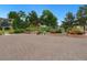 Shared garden area with raised beds for residents' use at 2225 S Jasmine St # 304, Denver, CO 80222