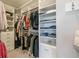 Spacious walk-in closet with ample storage shelving and clothing racks at 5880 Beeler Ct, Denver, CO 80238