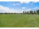 Expansive green space in the neighborhood offers residents a large grassy area at 3406 Quicksilver Rd, Frederick, CO 80516