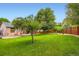 Large grassy backyard with mature trees and wooden fence at 12013 W 56Th Cir, Arvada, CO 80002