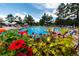 Inviting community pool surrounded by flowers, umbrellas, and trees offers a relaxing recreational space at 724 Evening Star Dr, Castle Rock, CO 80108