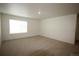 Spacious bedroom with neutral carpet, white walls, and a window providing natural light at 4955 Trails Edge Ln, Castle Rock, CO 80104