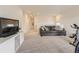 Comfortable bonus room with a cozy couch and entertainment area for leisure and enjoyment at 4955 Trails Edge Ln, Castle Rock, CO 80104