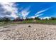 Equestrian facility featuring a horse arena, fencing, and a charming red barn set against a blue sky at 36921 Ruger Ct, Elizabeth, CO 80107