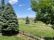 Scenic backyard view overlooking a golf course and lush greenery on a sunny day at 12000 Pine Top St, Parker, CO 80138
