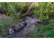 A clear creek surrounded by lush greenery and rocks, creating a peaceful natural scene at 10723 W 54Th Pl, Arvada, CO 80002