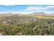 Gorgeous aerial view of a lush neighborhood with homes and mature trees against distant mountains at 1653 Gore Dr, Larkspur, CO 80118