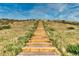 Exterior wooden staircase on a grassy hillside under a blue sky with light clouds at 14845 Haley Ave, Parker, CO 80134