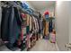 This walk-in closet offers ample storage with shelves and hanging space at 14845 Haley Ave, Parker, CO 80134