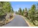 Winding paved driveway lined with trees and rock outcroppings leading to a luxurious property at 13415 S Resort Dr, Conifer, CO 80433