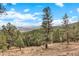 Scenic view with tall trees, rolling hills, and distant mountains under a blue sky at 13415 S Resort Dr, Conifer, CO 80433