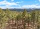 Lush landscape with tall pine trees, rolling hills, and a serene mountain backdrop at 13415 S Resort Dr, Conifer, CO 80433