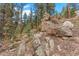 View of natural landscaping with towering trees and native stone outcroppings at 13415 S Resort Dr, Conifer, CO 80433