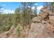 View of natural landscaping with towering trees and native stone outcroppings at 13415 S Resort Dr, Conifer, CO 80433