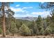 Scenic mountain view lot with towering trees, and expansive mountain views, and blue skies at 13415 S Resort Dr, Conifer, CO 80433