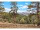 Scenic mountain view lot with towering trees, and expansive mountain views, and blue skies at 13415 S Resort Dr, Conifer, CO 80433